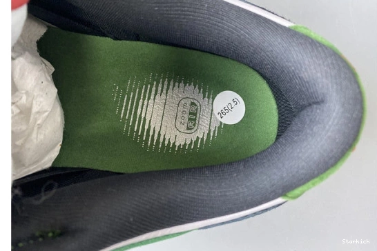 304292-302 Heineken Low Dunk SB Nike 1018